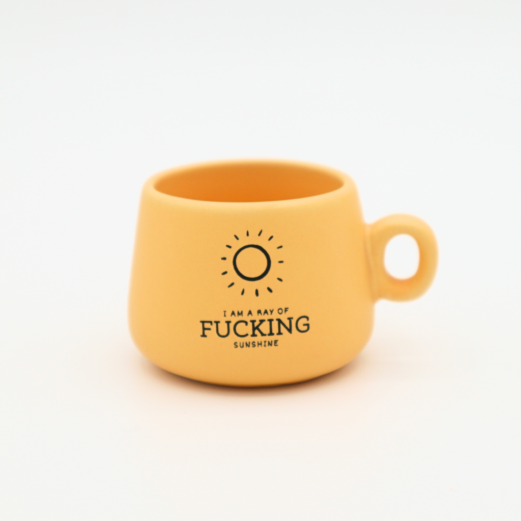 Cappuccino Mug Shot Glass I Am A Ray of Fucking Sunshine